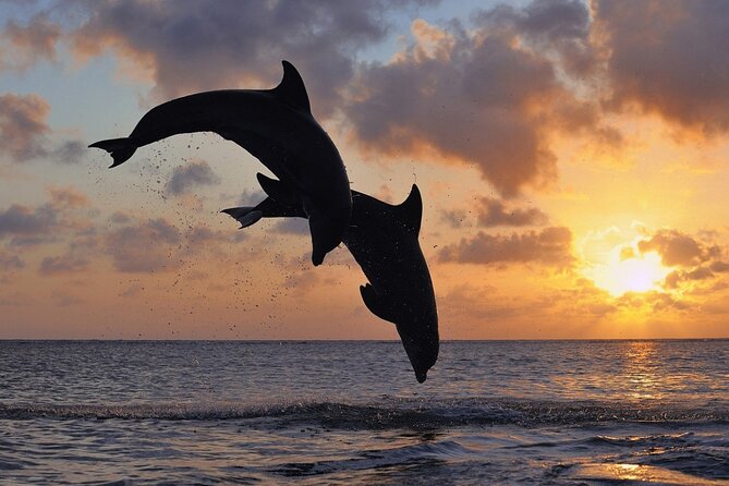 3-Hour Sunset Boat Trip With Dolphin Watching - Good To Know