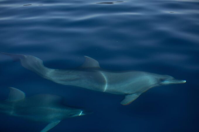 3 Hour Sunset Sailing Tour in Pula - Cancellation Policy