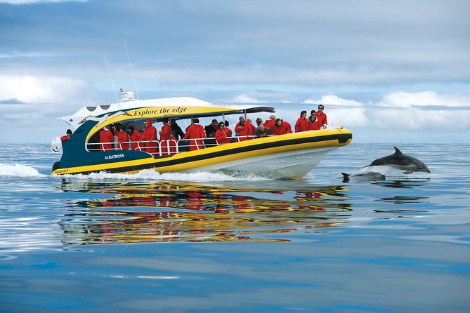 3-Hour Tasman Peninsula Wilderness Cruise From Port Arthur - Cruise Inclusions