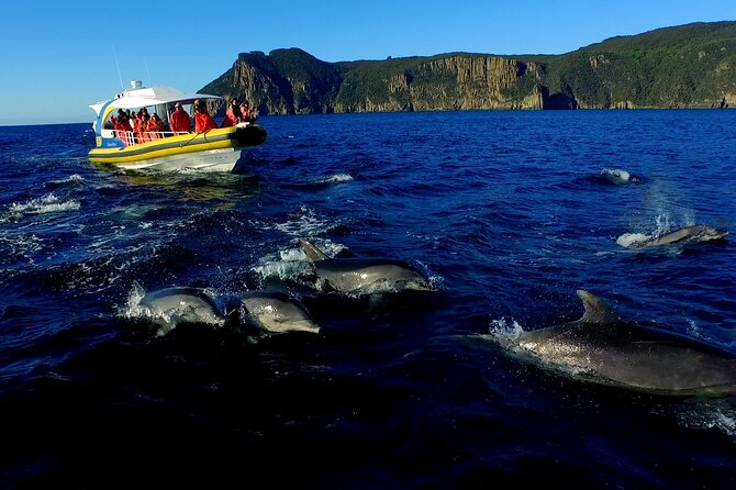 3-Hour Tasman Peninsula Wilderness Cruise From Port Arthur - Confirmation and Accessibility
