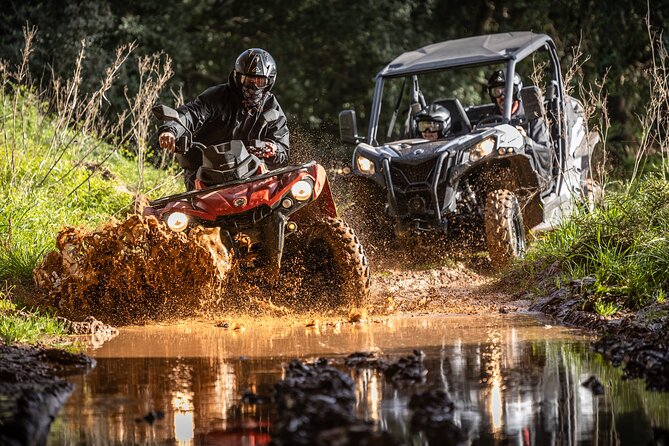 3-Hour Tour by Buggy or Quad in the Algarve - Review Highlights