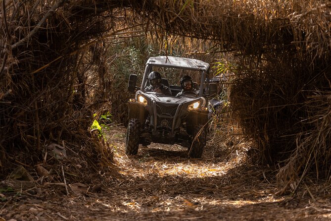 3-Hour Tour by Buggy or Quad in the Algarve - Restrictions and Policies