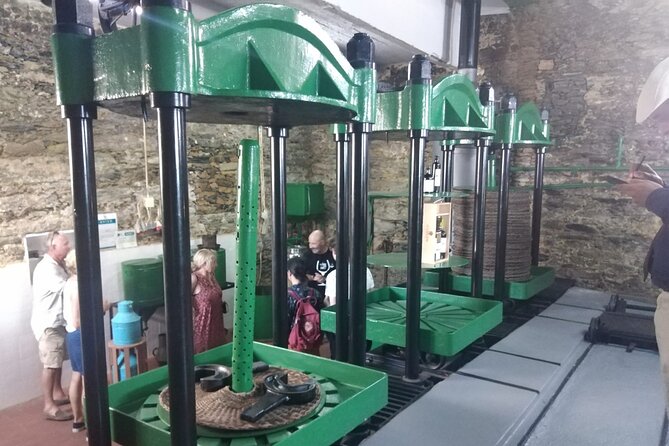 3-Hour Tour to Discover Pinhão - Moment of Discovery - Logistics and Transportation