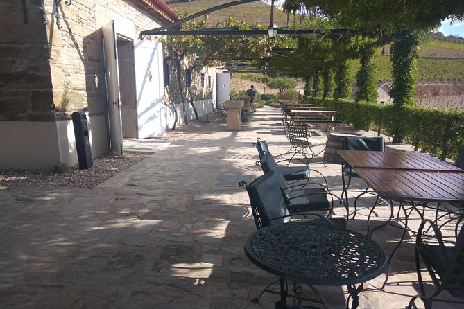 3-Hour Tour to Discover Pinhão - Moment of Discovery - Scenic Boat Ride on Douro