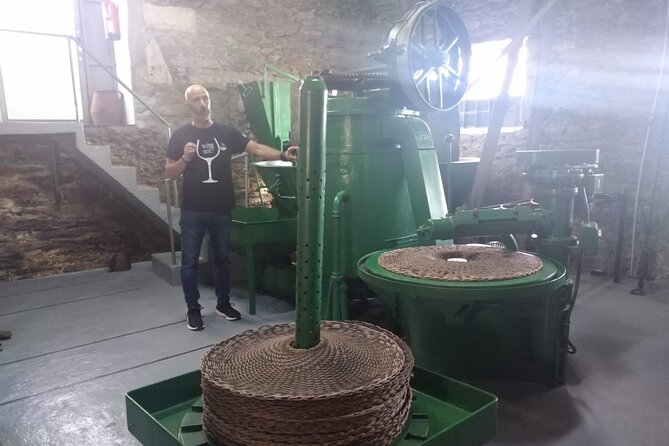 3-Hour Tour to Discover Pinhão - Moment of Discovery - Personalized and Intimate Group