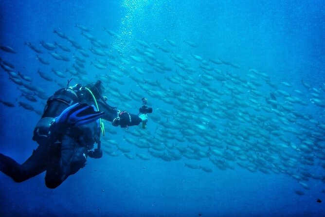 3-Hour Try Scuba Private Guided Sea Baptism From Palermo - Scuba Diving Equipment Provided