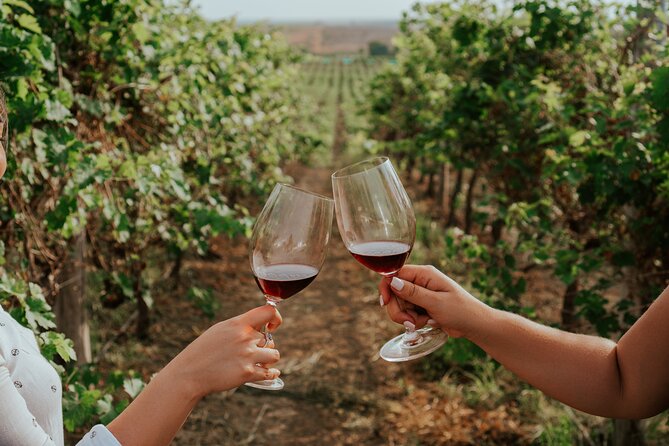 3-Hour Vineyard Wine Tour With Tasting - Key Points