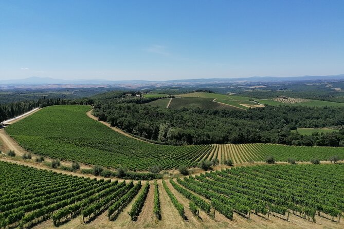 3-hour Vintage FIAT 500 Chianti Classico Private Wine Tour - Tuscan Culinary Delights