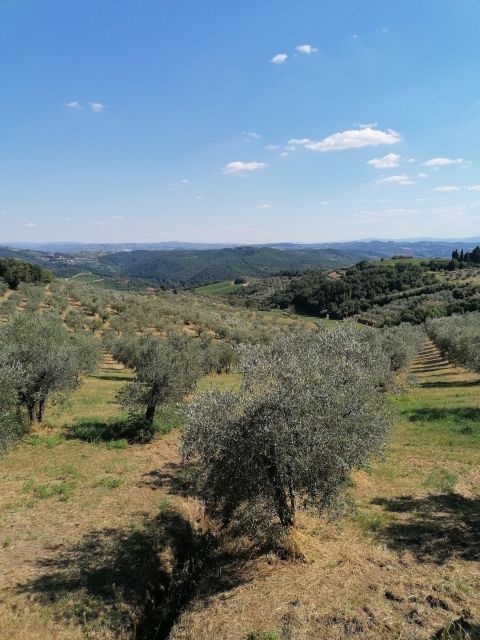 3-Hour Vintage FIAT 500 Chianti Classico Private Wine Tour - Included in the Tour