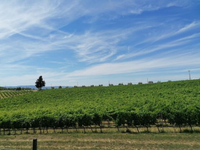 3-Hour Vintage FIAT 500 Chianti Classico Private Wine Tour - Meeting Point and Duration