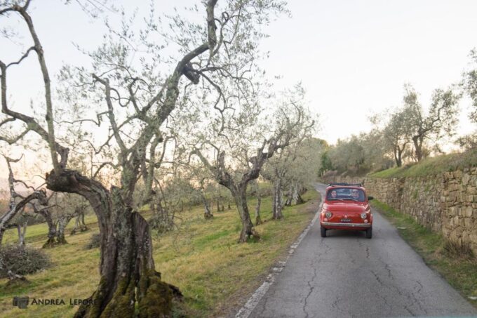 3-Hour Vintage FIAT 500 Chianti Classico Private Wine Tour - Frequently Asked Questions