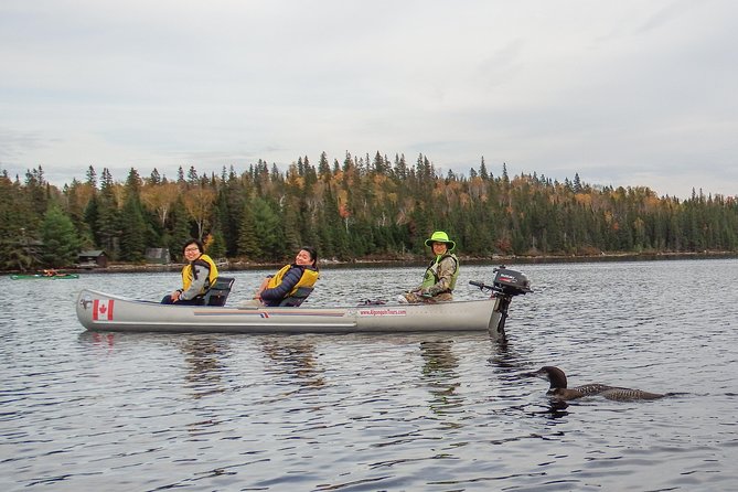 3 Hour VIP Electric Canoe Photography Tour (Private, Price Is for 2 People) - Accessibility and Restrictions