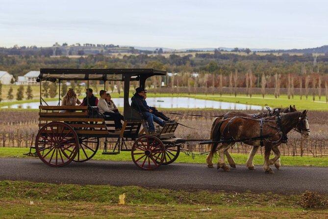 3- Hour Wine and Harvest the Hunter Horse Tour in Pokolbin - Meeting Location and Directions