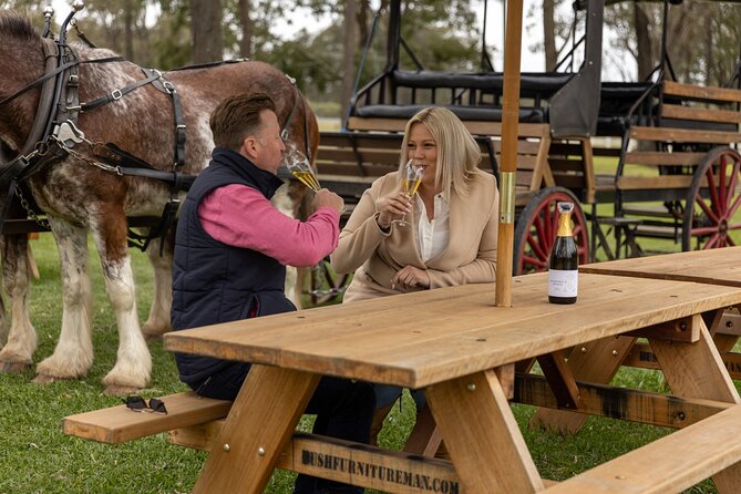 3- Hour Wine and Harvest the Hunter Horse Tour in Pokolbin - Accessibility and Additional Info