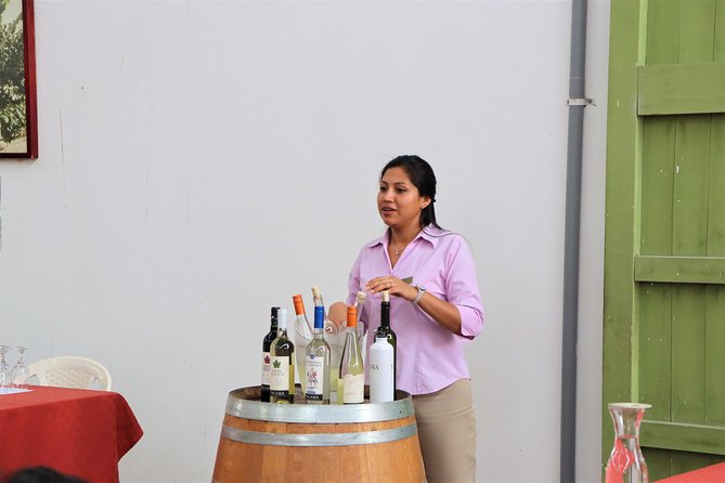 3-Hour Wine and Pisco Tour / Tacama and El Catador - Pisco and Wine Sampling