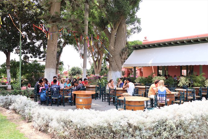 3-Hour Wine and Pisco Tour / Tacama and El Catador - Guided Production Processes