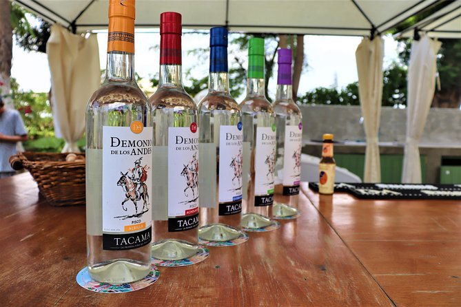 3-Hour Wine and Pisco Tour / Tacama and El Catador - El Catador Winery
