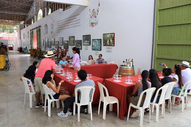 3-Hour Wine and Pisco Tour / Tacama and El Catador - Historic Techniques