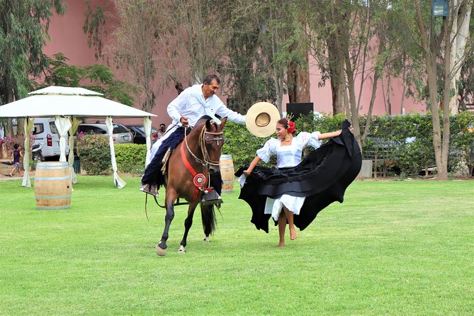 3-Hour Wine and Pisco Tour / Tacama and El Catador - Inclusions and Logistics