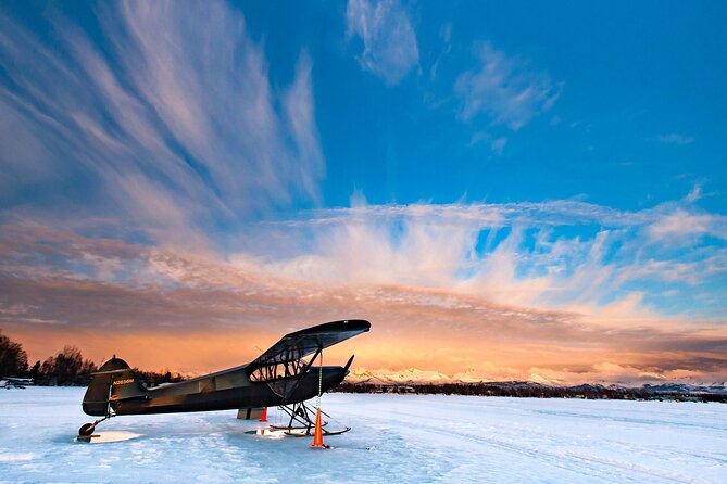 3 Hour Winter City Tour in Anchorage - Customer Feedback and Ratings