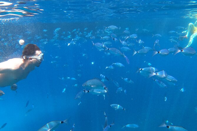 3 Hours Aquarium and Margaritas Islands Excursion - Departure and First Stop