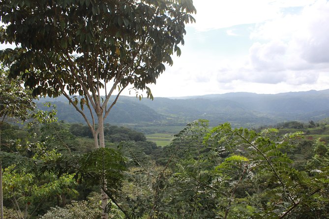 3 Hours ATV River and Overlook With Restaurant. - Wildlife Viewing Opportunities