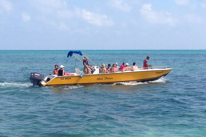 3 Hours Barrier Reef Tour in Caye Caulker, Belize - Snorkeling Activities