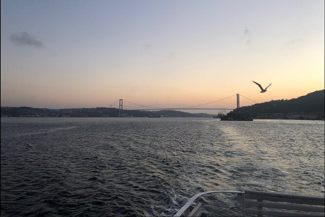 3 Hours Bosphorus Cruise With 1 Hour Stop in Asia Side - Confirmation and Accessibility