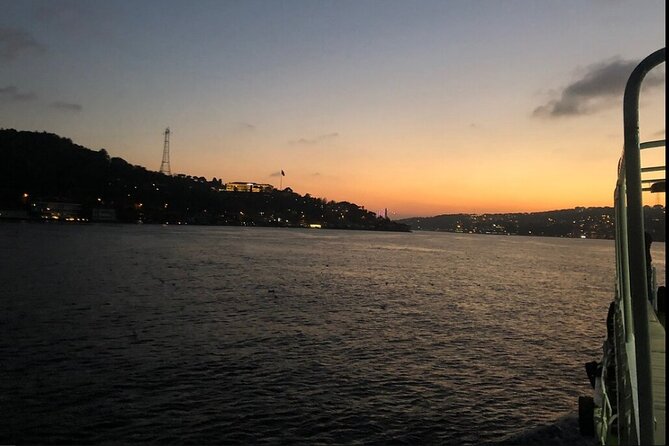 3 Hours Bosphorus Cruise With 1 Hour Stop in Asia Side - Infant Policies