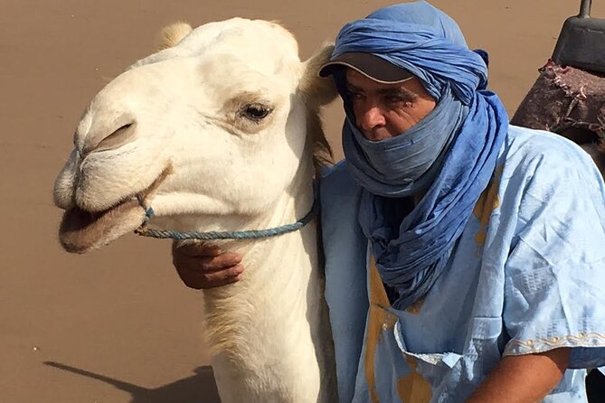 3 Hours Camel Ride in Essaouira, Beach and Dunes - Camel Ride in Essaouira