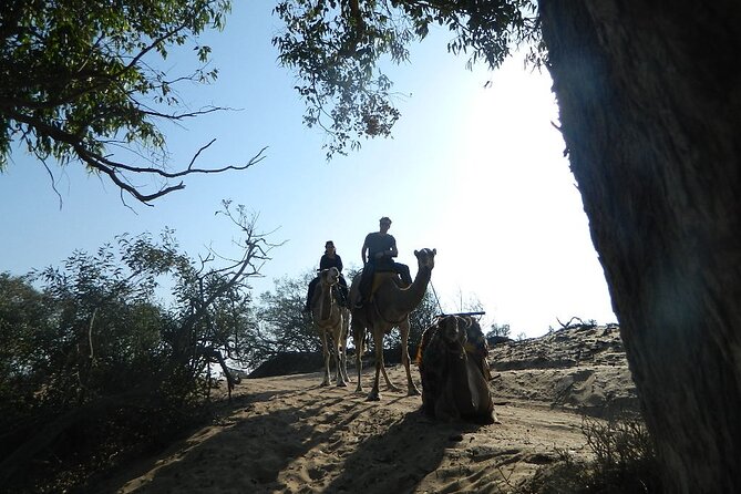 3 Hours Camel Ride in Essaouira, Beach and Dunes - Discover Coastal City