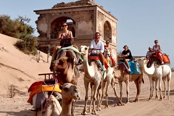 3 Hours Camel Ride in Essaouira, Beach and Dunes - Ruins and Landmarks