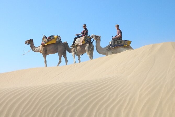 3 Hours Camel Ride in Essaouira, Beach and Dunes - Visit Small Forest