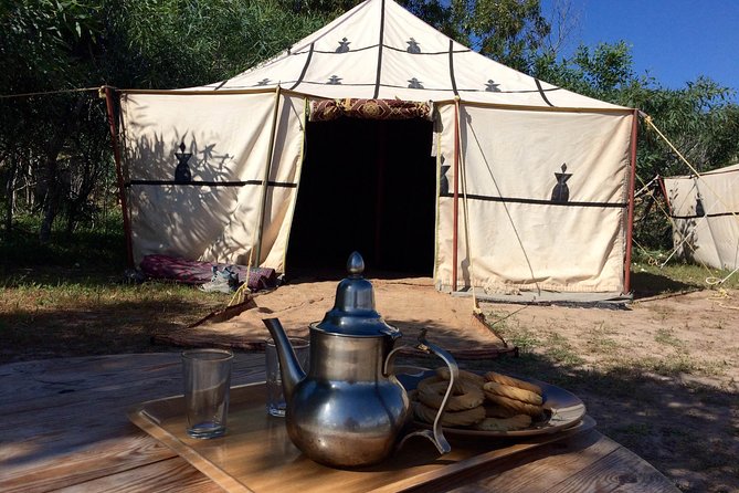 3 Hours Camel Ride in Essaouira With Dinner and Overnight in Berber Camp - Meeting Point and End Point