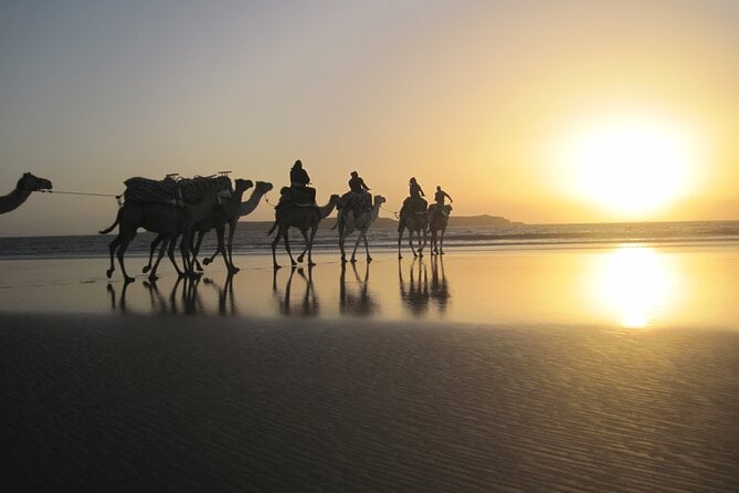 3 Hours Camel Ride in Essaouira With Dinner and Overnight in Berber Camp - Policies and Requirements