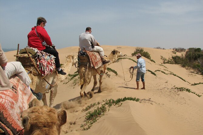 3 Hours Camel Ride in Essaouira With Dinner and Overnight in Berber Camp - Camel Ride Experience