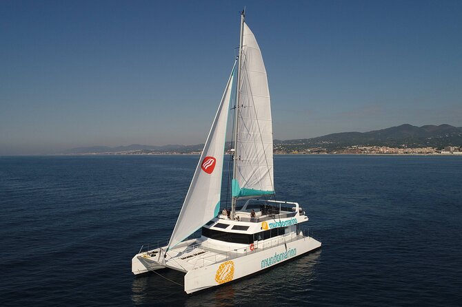 3-Hours Catamaran Tour in Malaga With Paella - Pricing and Cancellation