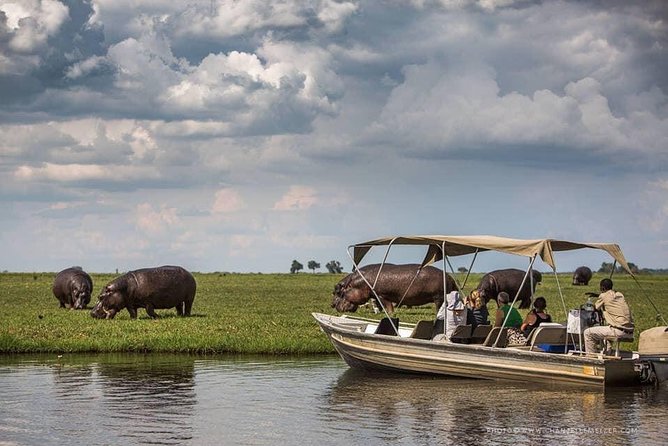 3 Hours Chobe River Boat Cruise - Key Points