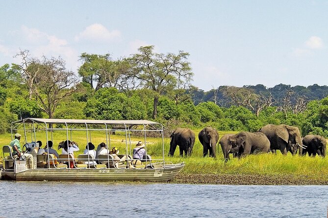3 Hours Chobe River Boat Cruise - Inclusions and Exclusions