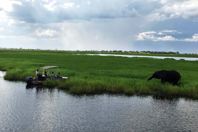 3 Hours Chobe River Boat Cruise - Customer Reviews