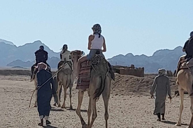 3 Hours Dessert Quad Safari Hurghada - Meeting and Pickup