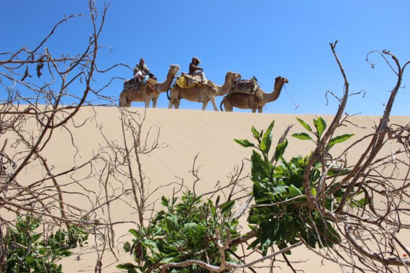 3-Hours Dromedary Ride Essaouira, Morocco - Experience Details