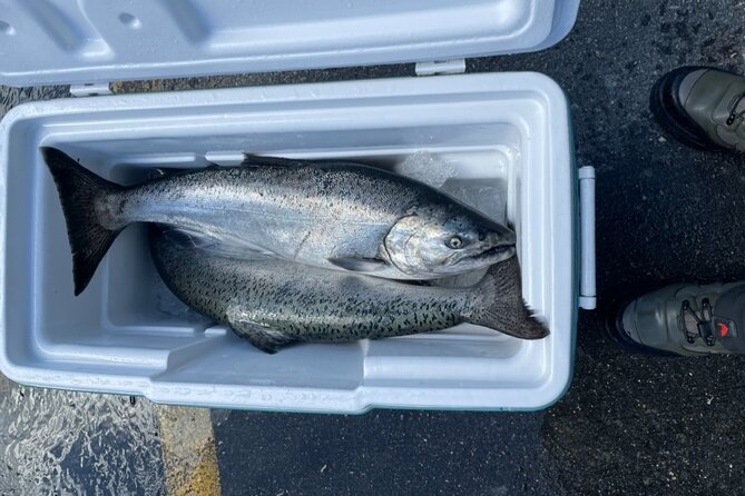 3 Hours Fishing Experience Class in Juneau - Public Transportation Accessibility