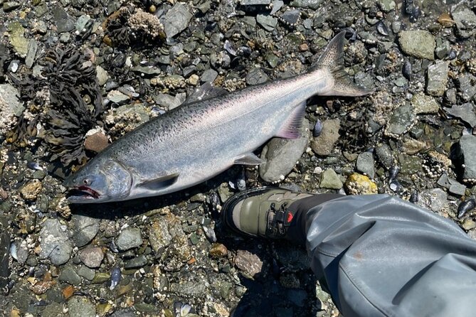 3 Hours Fishing Experience Class in Juneau - Group Size and Operator