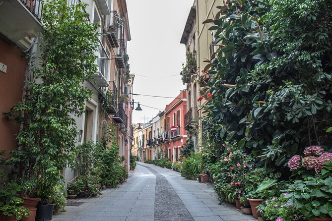 3 Hours Guided Tour of the Historic Districts of Cagliari - Booking Information