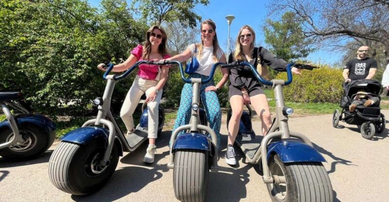 3 Hours Hamburg E-Scooter Tour - Experience Highlights