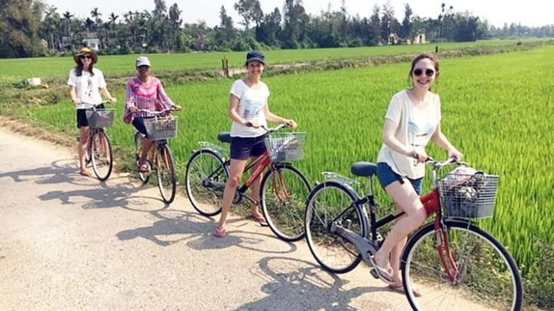 3 Hours Hoi An Countryside Bicycle Tour - Itinerary and Activities