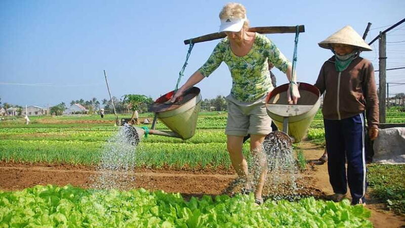 3 Hours Hoi An Countryside Bicycle Tour - Experience Local Wildlife and Agriculture