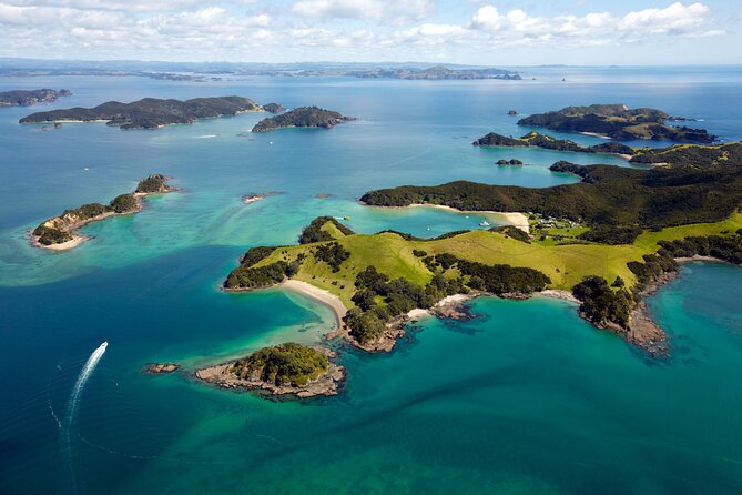 3 Hours // Hole in the Rock Cruise & Bay of Islands Tour - Tour Highlights