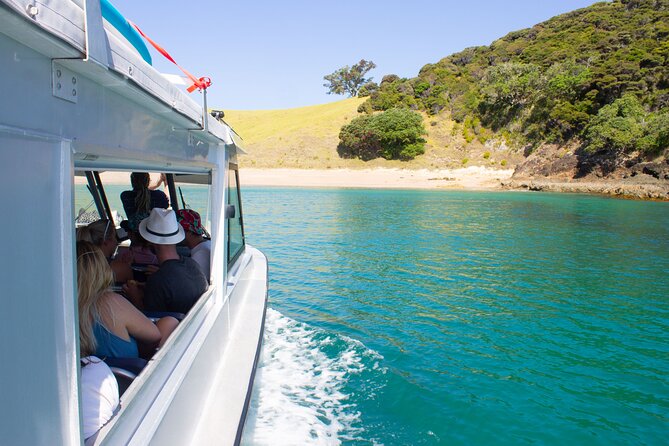 3 Hours // Hole in the Rock Cruise & Bay of Islands Tour - Accessibility